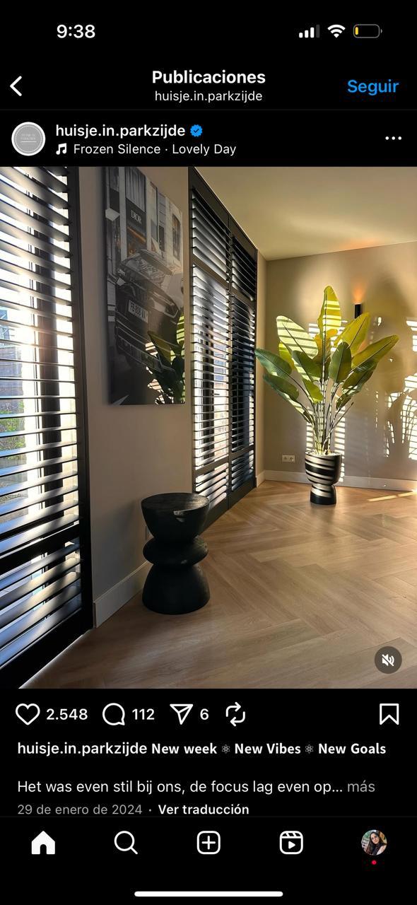 Pulsera de Protección - 2